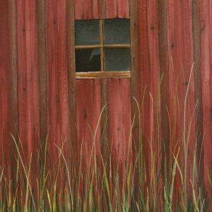 Barn and Grass